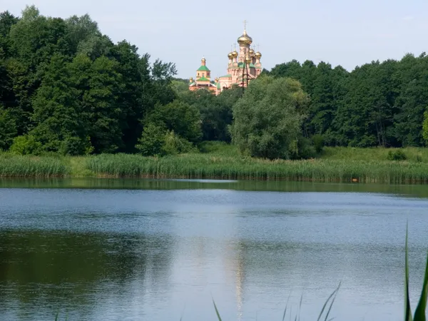 Свято-Покровський монастир Голосіївська пустинь серед давнього лісового масиву Києва